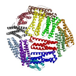 Image of CATH 4xks