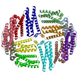 Image of CATH 4xkt