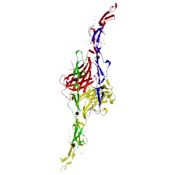 Image of CATH 4xl1