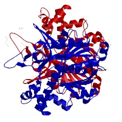 Image of CATH 4xl2