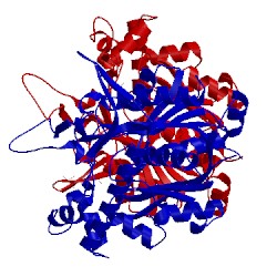 Image of CATH 4xl3