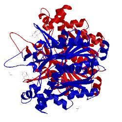 Image of CATH 4xl4