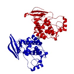 Image of CATH 4xli