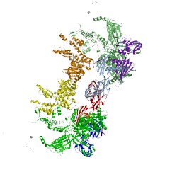 Image of CATH 4xlp