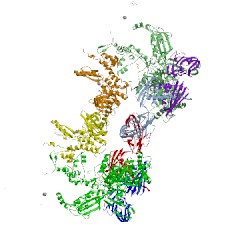 Image of CATH 4xlq