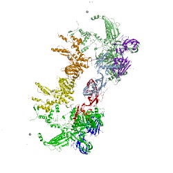 Image of CATH 4xlr
