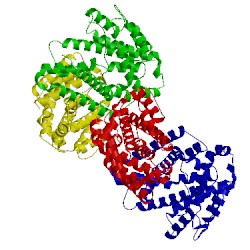 Image of CATH 4xlx