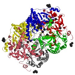 Image of CATH 4xlz