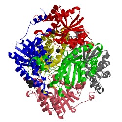 Image of CATH 4xm1