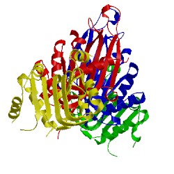 Image of CATH 4xm4