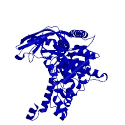 Image of CATH 4xm8