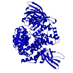 Image of CATH 4xn5