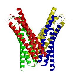 Image of CATH 4xng