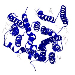 Image of CATH 4xni