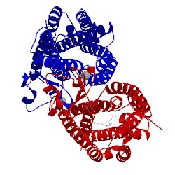 Image of CATH 4xnw