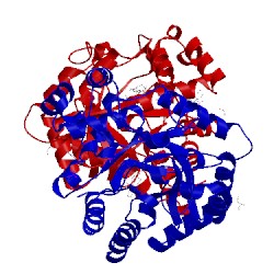 Image of CATH 4xo6
