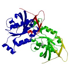Image of CATH 4xoi