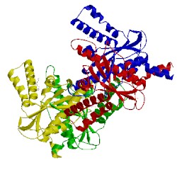 Image of CATH 4xoq