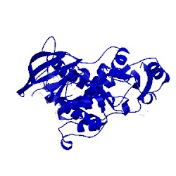 Image of CATH 4xoy