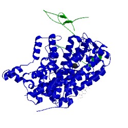 Image of CATH 4xpb