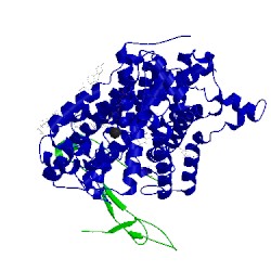 Image of CATH 4xpt