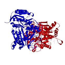 Image of CATH 4xqe
