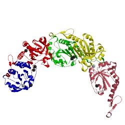 Image of CATH 4xra