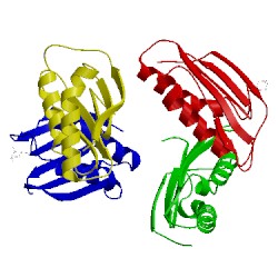 Image of CATH 4xre