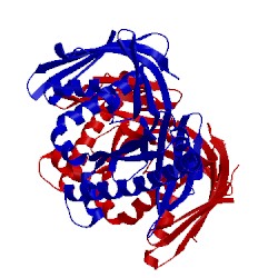 Image of CATH 4xrt