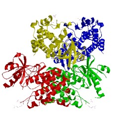 Image of CATH 4xs2