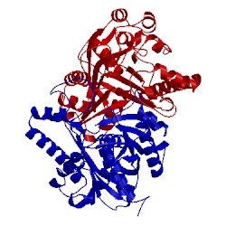 Image of CATH 4xsa