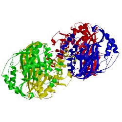 Image of CATH 4xsc