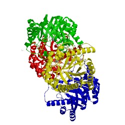 Image of CATH 4xsl