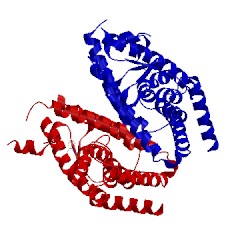 Image of CATH 4xta