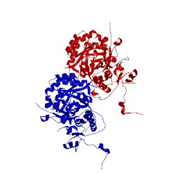 Image of CATH 4xtd