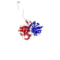 Image of CATH 4xtr