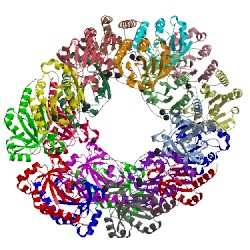 Image of CATH 4xts