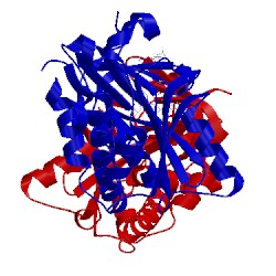Image of CATH 4xu2