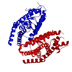 Image of CATH 4xuh