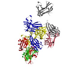 Image of CATH 4xup