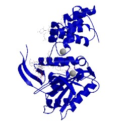 Image of CATH 4xus