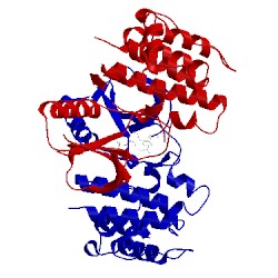 Image of CATH 4xv3