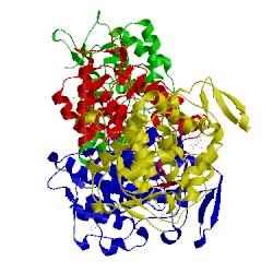 Image of CATH 4xva
