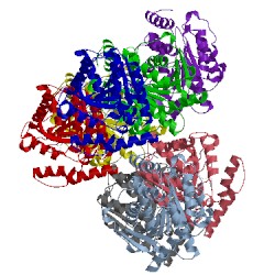 Image of CATH 4xvc