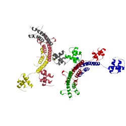 Image of CATH 4xvn