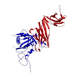 Image of CATH 4xvs