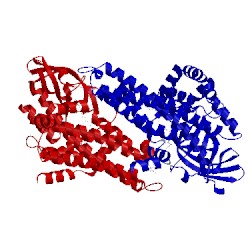 Image of CATH 4xvx