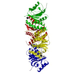 Image of CATH 4xvz