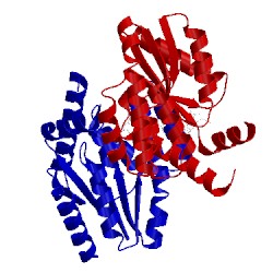 Image of CATH 4xwa