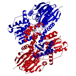 Image of CATH 4xwt